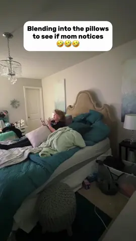 Blending into the pillows to see if mom notices 😀😀😀#funny #funnyvideo #scared #scarecam #foryou 