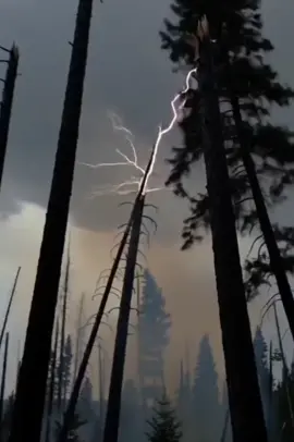 #lightning is so #amazing & #fascinating  #lightningstreak #stormlover 