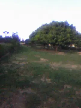 #digitalcamera #idk 