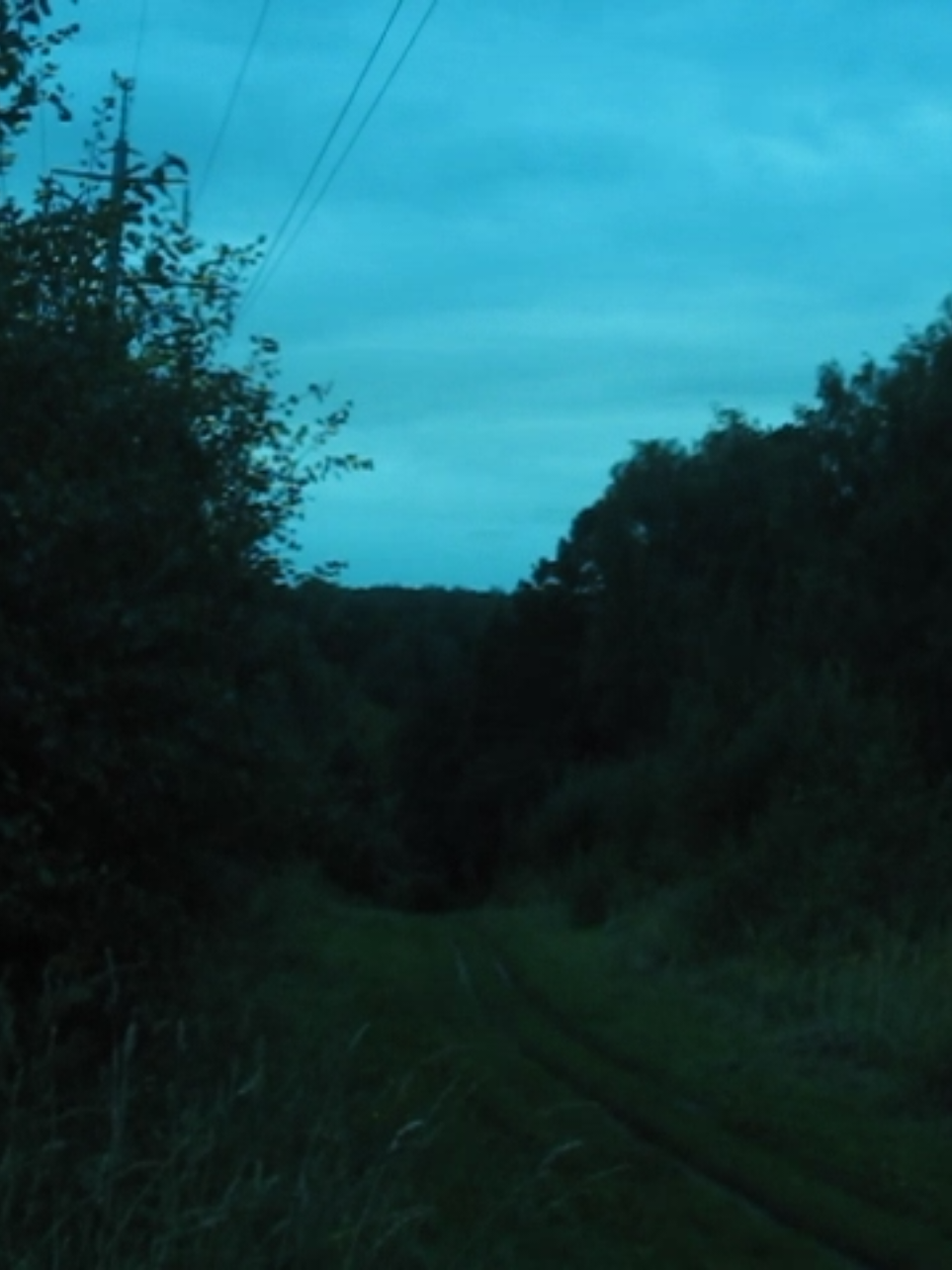 #digitalcamera 