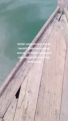 #fyppalembang #fyplampung #palembangfyp #lampung #lampungtiktok #palembang #mesuji #sungaimesuji 