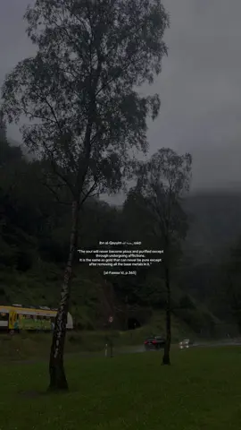 #islamicreminder #islamic_video #ibnalqayyim #fyp #foryou 