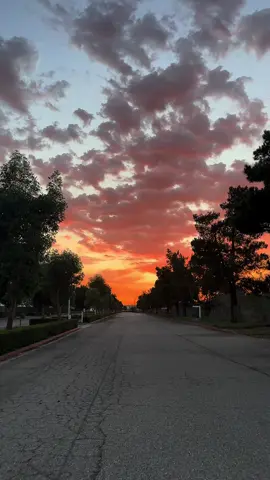 #aesthetic #videography #fypシ゚viral #bikeride #aestheticvideos 