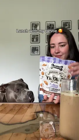 Lunch with my bestie 😍 #americanbully #dog #doglove #funnydog#dogparents       Dog life, dog humor, dogs, funny dogs, cute dogs  