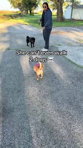 Glad I could help #dogmom #dogsoftiktok #dogleash #tanglefreeleash #DogTraining 
