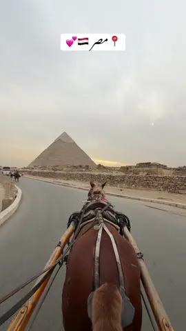 📍مصر 🇪🇬💕  #qasimsohailofficial #fyp #foryou #Love #egypt 