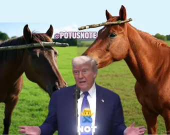 If you tape a stick to a horse’s head, it is not a unicorn. It’s still a horse. #fyp 