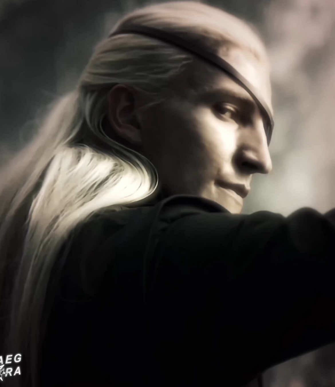 they should‘ve sail away together  scp: 412 scenepacks cc: mine [ #aegontargaryen #aemondtargaryen #houseofthedragon #ewanmitchell #fyp ]