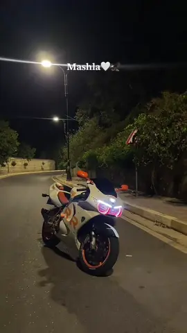 #🤍🦉 #عئراق #دهوك #شيلادزي #919 