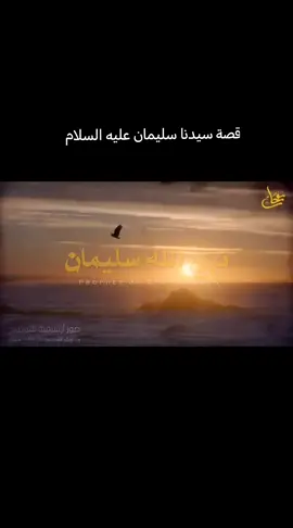 قصة سيدنا سليمان عليه السلام  #لايك__explore___  #مشاهدات_تيك_توك  #متابعه #مشاهدات 