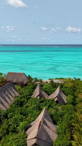 Zanzibar trough my lens ❤️ #zanzibar #drone #fyi #luxury #viraltiktok 
