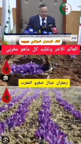 #creatorsearchinsights#المغرب#tiktoklongs#poutoi#explore 