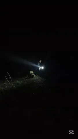 2 Days Building My Log Cabin - DANGEROUS Wild Boars Surrounded Me! #rain #camping #asmr #survival #bushcraft 