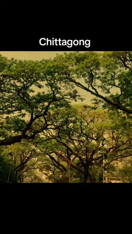 . . . . . . . . #chittagong#niceview#foryoupageofficiall#bnagladesh🇧🇩#Love 