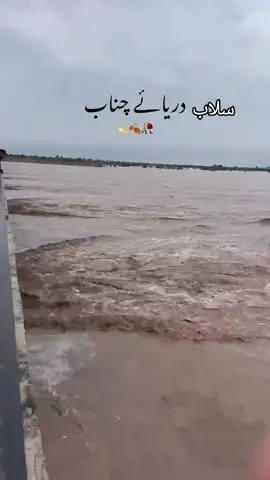 #furryoupage @ch asim Warraich😎 @TiktokPakistanOfficial 
