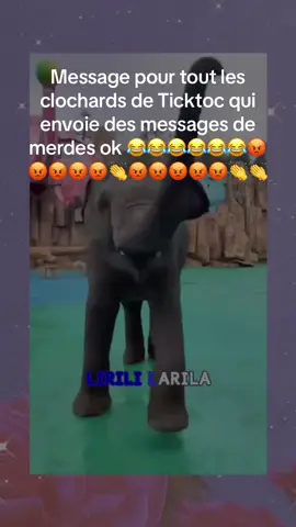 #message#pourtoi#fly#