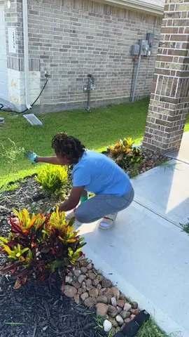 Replying to @lilboylove8  front yard makeover update  #frontyardmakeover #diygarden #landscapingdiy #frontyarddiy 