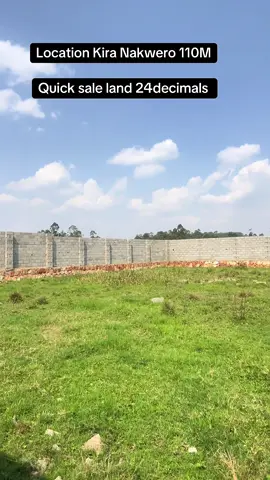 #quick sale land 24decimals 100by 100Ft beautiful good deal good neighborhood Location Kira Nakwero 110Million 