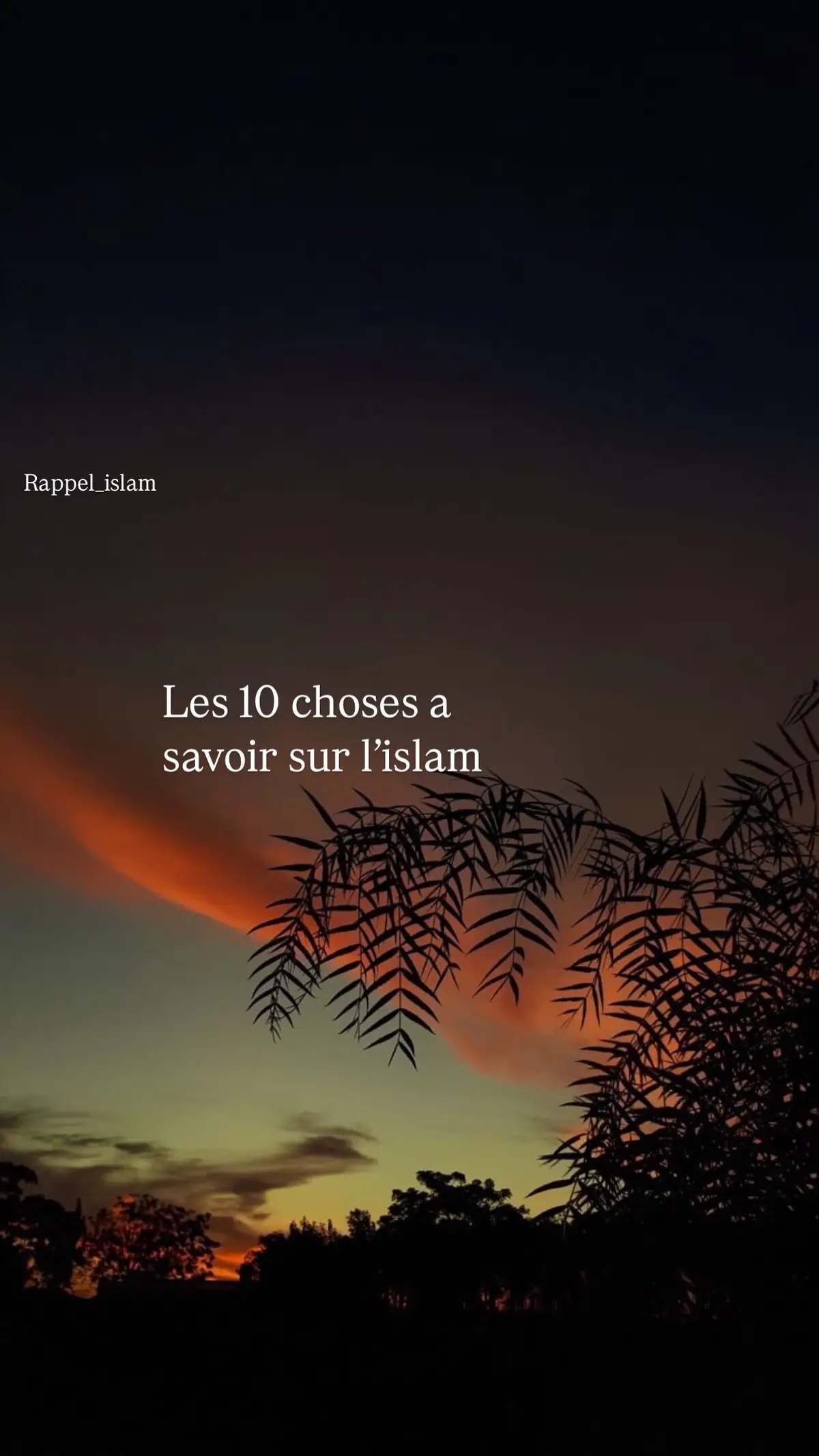 #rappels_islam #fyp #pourtoii #fypシ゚ #rappel #islam #islamic_video #recitation_du_coran #🤍☝🏻