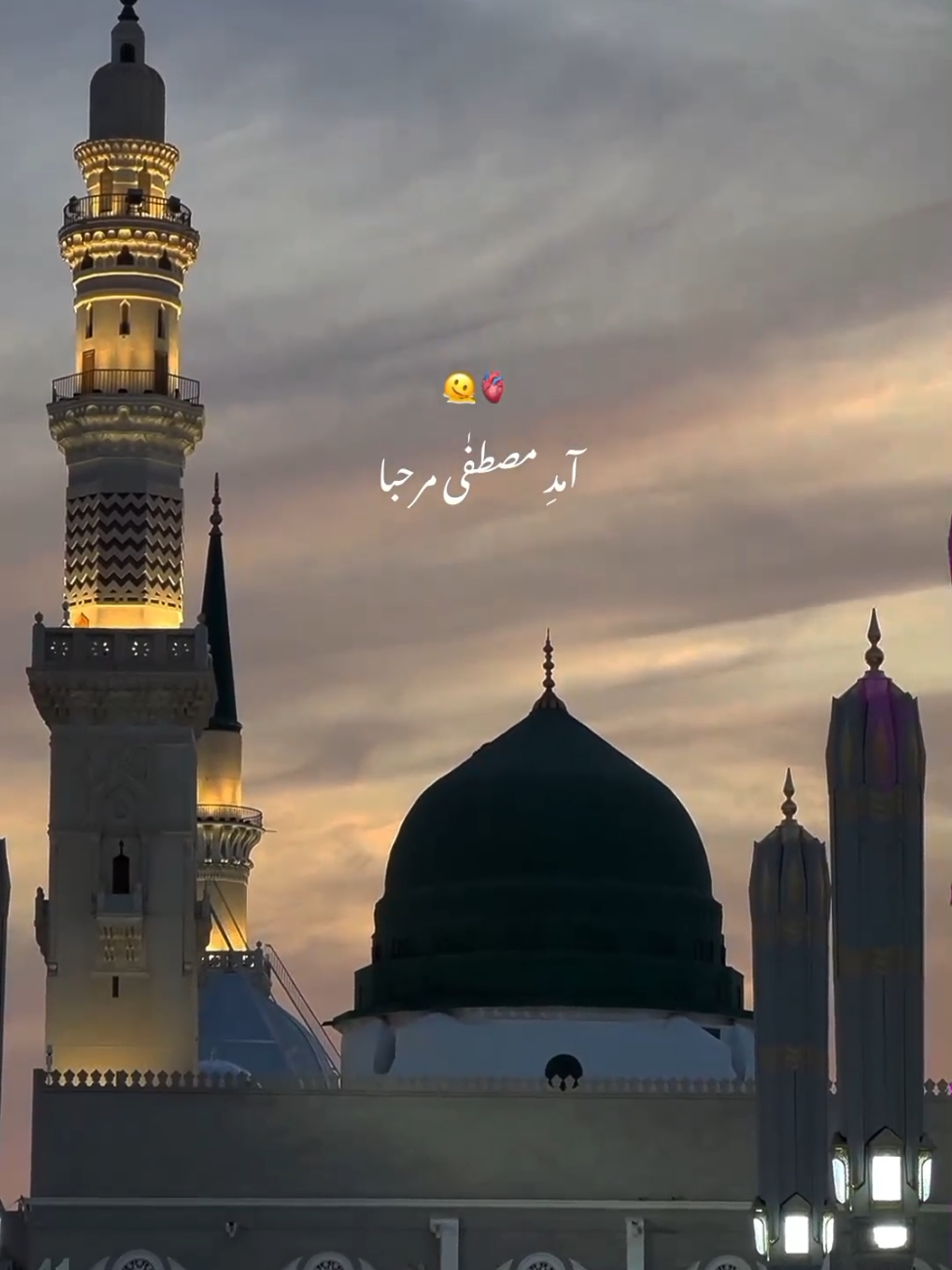 Amad-e-Mustafa 🫠🫀  #bakhtestic_ #islamic_video #12rabi_ul_awal #eidmiladunnabi #viral 