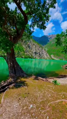 #fermelesyeuximaginetoi#ecoute#chantd’oiseau#abonnetoi❤️❤️🙏#faitperserletiktoksvp💗 