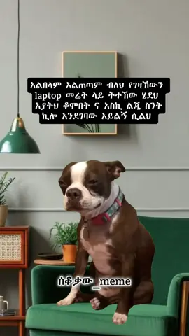 just for meme 😂🤝 #habeshamemes #ethiopian_tik_tok🇪🇹🇪🇹🇪🇹🇪🇹 #habeshagirl #viral #sekokawmeme 