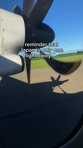 I’ve been seeing flights to japan for a lot cheaper than usual these days 👀 What are you waiting for? I moved out here but even just visiting is worth the 11 hour flight, whether it’s just touring or moving, japan has to be a bucket list destination 🤞 #japantrip2025 #explorejapan #lifeinjapan 