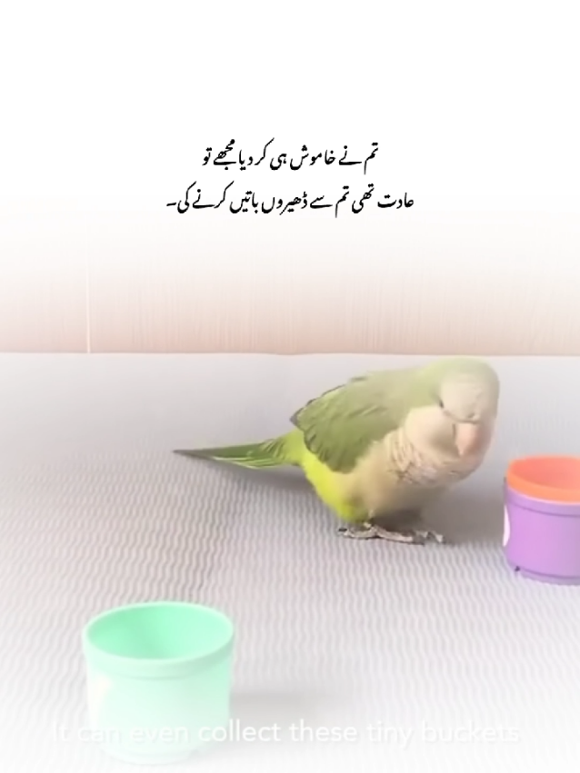 🥲💔 #foryou #flypシ #1millionaudition #mahee #poetry 