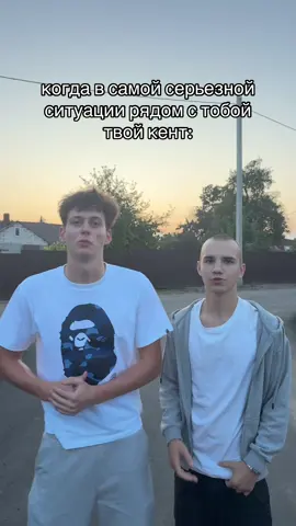 🚨тгк: mlivich1🚨