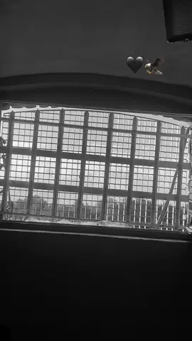 #فرنسا🇨🇵_بلجيكا🇧🇪_المانيا🇩🇪_اسبانيا🇪🇸 #محكوم #مسجون 