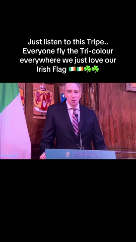 Fly the Tri-colour Flag 🇮🇪🇮🇪 #ireland #irishtricolour #dublin #irish #cork 