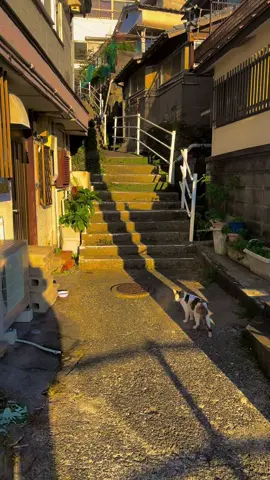 どこに連れて行ってくれるの？