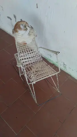 relax 🤣🤣