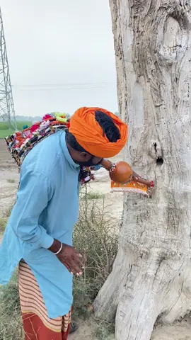 In tree snake #unfreezemyacount #wildliferescue #foryou #trendingvideo 