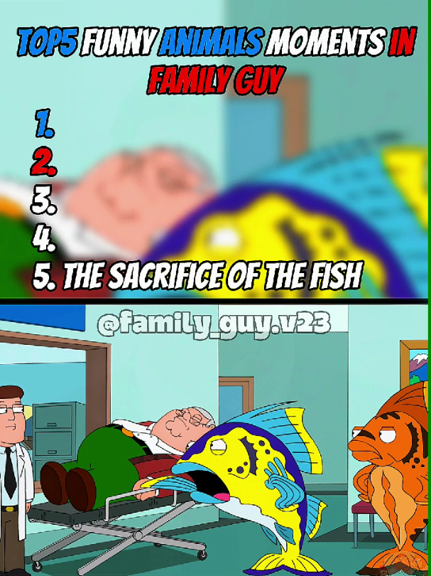 TOP 5 funny animals moments in family guy 😂🔥#familyguy #top5 #petergriffin #animal #fish #pigeon #pinkpanther #fyp #us #videoviral 
