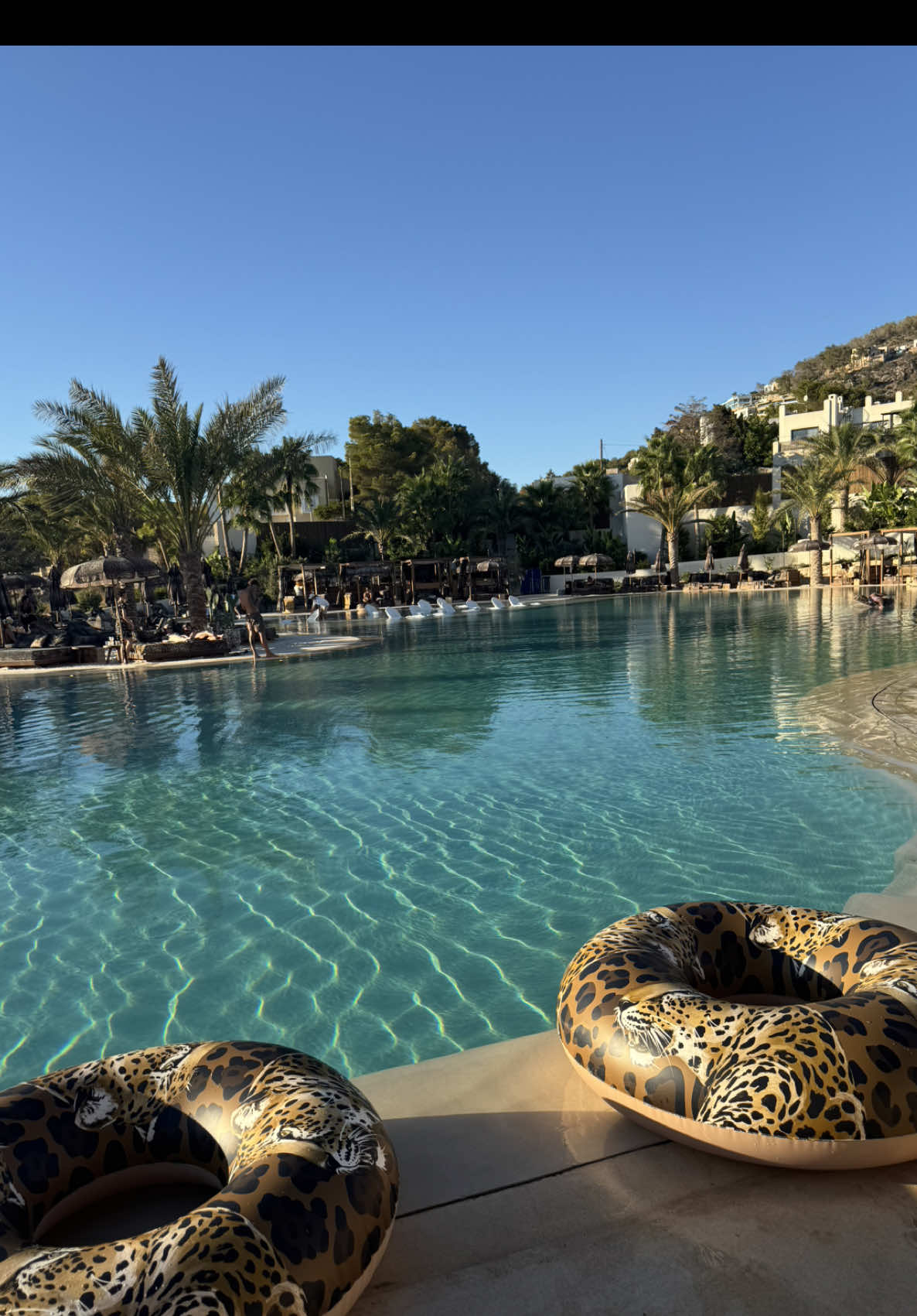 little bit RnR today 