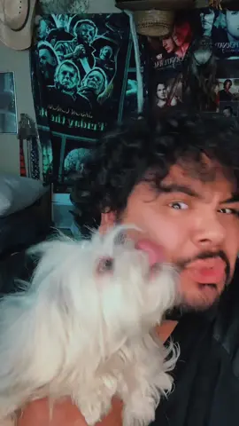 She’s obsessed with me 🤣🤣 #Dog #Pet #Sasha #BestFriend #Funny 