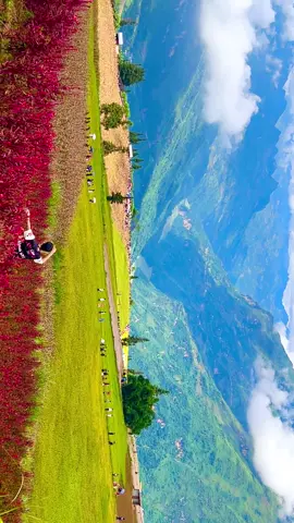 ⛰️ Thảo Nguyên Suôi Thầu - Việt Nam 🇻🇳 , may mắn 🍀 để thấy được nó #thaonguyensuoithau #xinmanhagiang #hagiang 