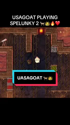 Usagoat just better #chiikawa #spelunky2 #gaming #roguelike #kaizo #usagi #momonga #usagoat #midmonga #toastcanbereal #goated #toogoated 