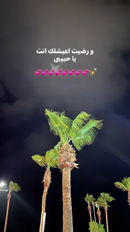 #fyp #vrial #amrdiab كفايه ان انتا حبيبى💕💕💕✨