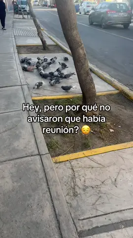Sin contexto #migajas #migajera 