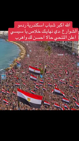 عاجل شباب #اسكندريه ردكو الشوارع مرددين #ارحل_يا_سيسي #السيسي #ميدان_التحرير_القاهرة_مصر #اسكندريه 