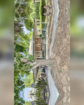 ✨ Just Listed in Selma! ✨ Welcome to 2214 Orange Avenue — a charming 3 bed, 1 bath home on a spacious corner lot. 🏡 ✅ Remodeled kitchen ✅ Updated flooring ✅ Newer windows ✅ Newer AC for year-round comfort Perfect for first-time buyers or investors looking to expand their portfolio. Conveniently located near schools, shopping, and everyday amenities! 📲 For more details or to schedule a tour, call/text me today: (559) 232-5668 💻 TheSalazarGroupRE.com – Alex Salazar | REALTOR® The Salazar Group Powered by RE/MAX Gold DRE #01723956 #fyp #TheSalazarGroup #foryourpage #CentralValleyHomes @RE/MAX 