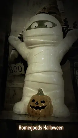 #spookyseason #yes #homegoods #asmrartistshortness #fyp 