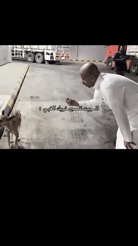 #ابومطرف🌚💙 #لايكات_الاكسبلور_متابعه #سيف_ال_عمار #pov #لايكات 