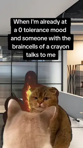 The whole place is gona feel my wrath #fyp #foryoupage #memestiktok #corporate #braincell 