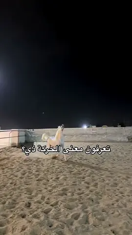 خيل عربي اصيل  .  .  .  .  .  .  .  #خيل_عربي_اصيل #خيل_وخياله🐎  #خيل_عربي #ماشاءالله_تبارك_الله  #سوريا_تركيا_العراق_السعودية_الكويت  #مالي_خلق_احط_هاشتاقات  #الشعب_الصيني_ماله_حل😂😂 