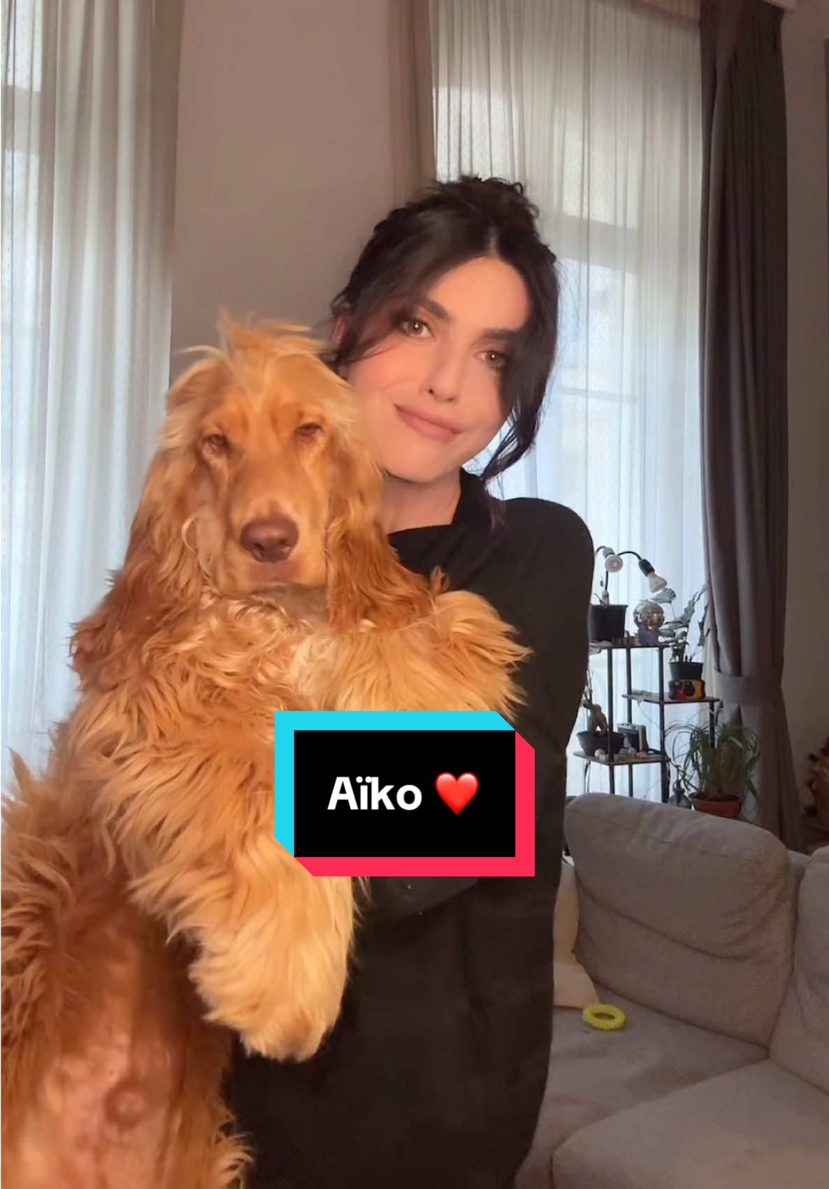 La face cachée d’Aïko 👀 #chien #cocker #amour 