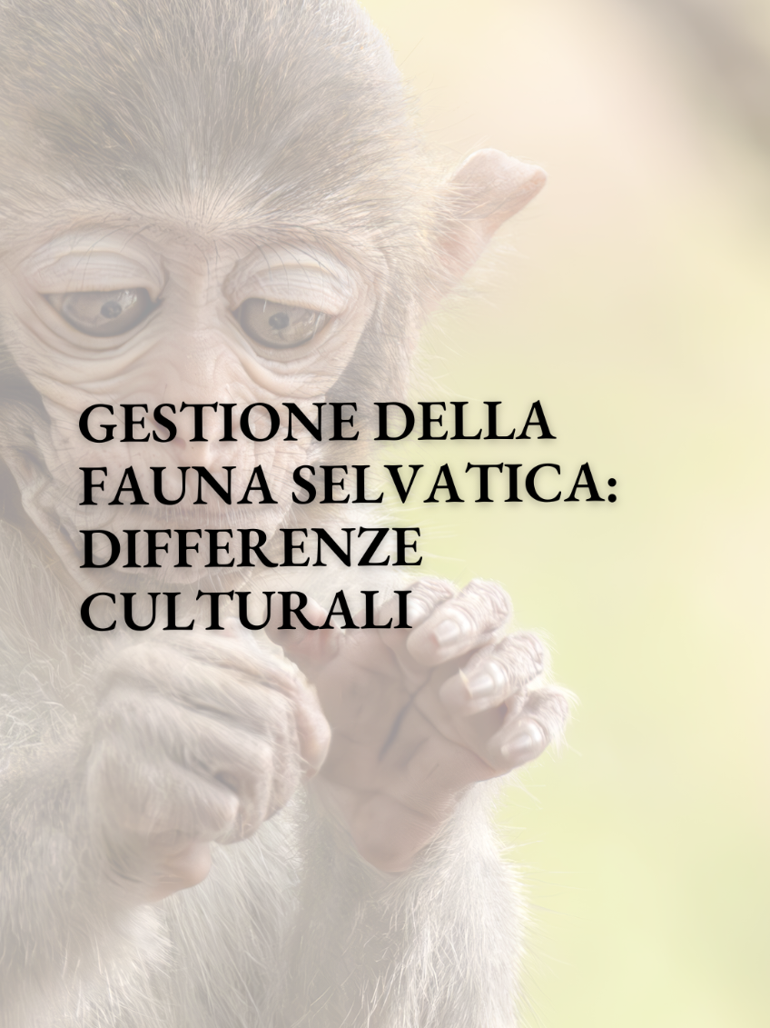 Il nostro background culturale può influenzare il modo in cui ci rapportiamo alla fauna selvatica? 🐆 Le testimonianze riportate da Mary Roach ci dicono di sì: se qui appena capita un incidente si decide per l'abbattimento, in India ci si oppone a questo nonostante le problematiche 🇮🇳 #educazioneambientale #divulgazioneambientale #ecologia #natura #faunaselvatica 
