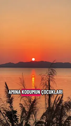 #kesfetteyiz #kesfetbeniöneçıkart #benikesfeteal #benikesfet 